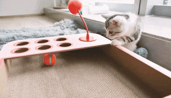 Labyrint og brætspil til katte