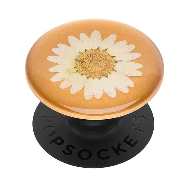 PopGrip PREMIUM Pressed Flower White Daisy