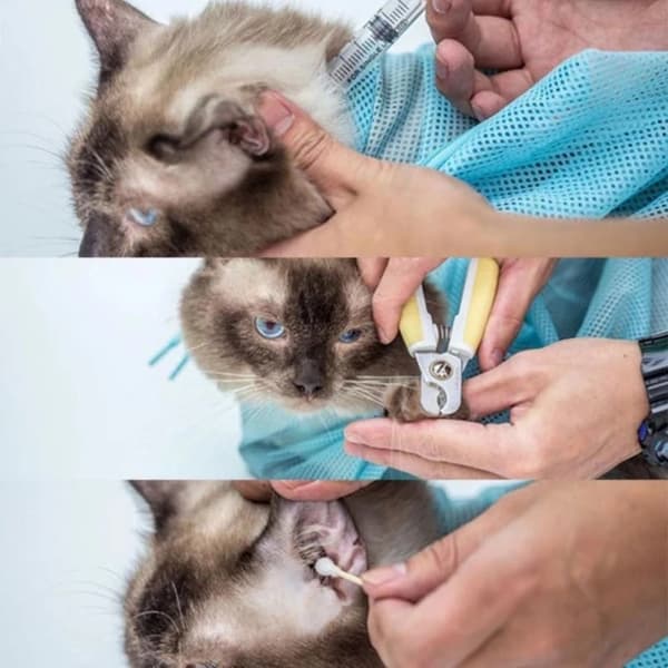 Repeämätön kylpypussi kissoille Blue