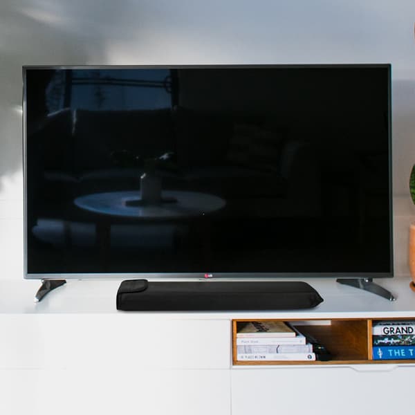 Bose TV Speaker -kaiuttimen pölysuoja (005.002.00069)