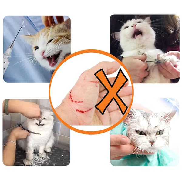 Kattmunkorg för trimning och behandling White M