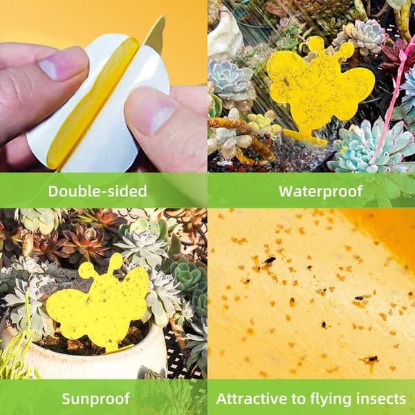 60-pack Flugfångare / Flugfälla / Klibbig insektsfälla Yellow