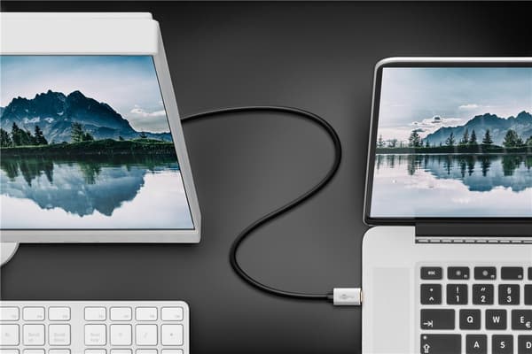 USB-C™ till DisplayPort™ kabel, 2 m, svart;silver