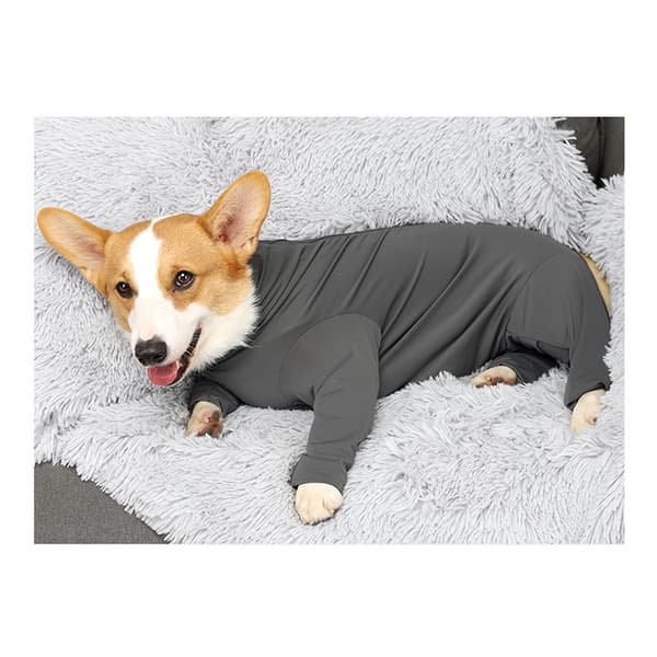 Heldragt til hunde - justerbart design XXXL