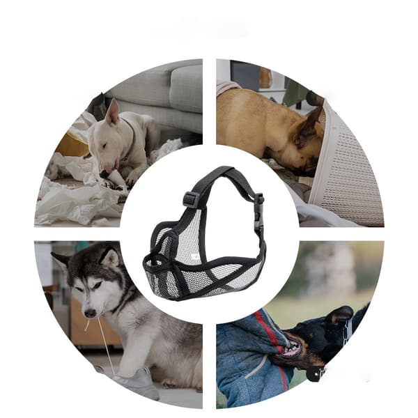 Hundehvalp til kortnæsede hunde S