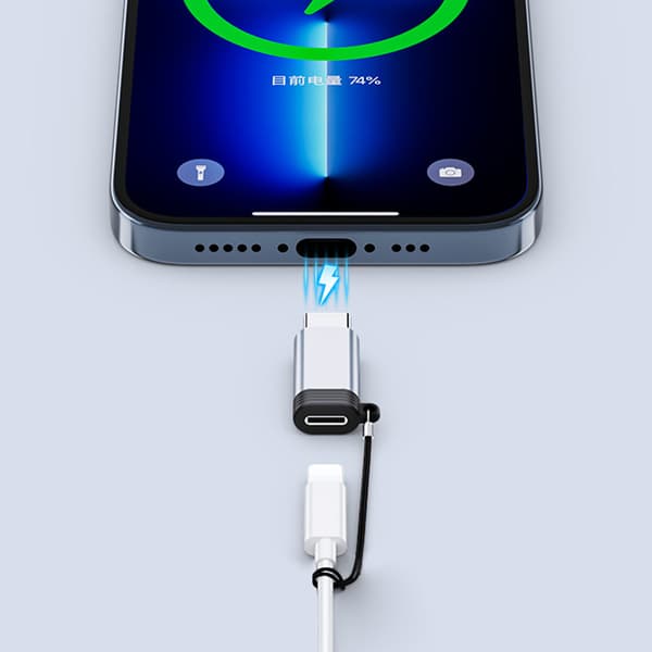 Lightning (hun) til USB-C (han) adapter, kompatibel med iPhone 15 Grey