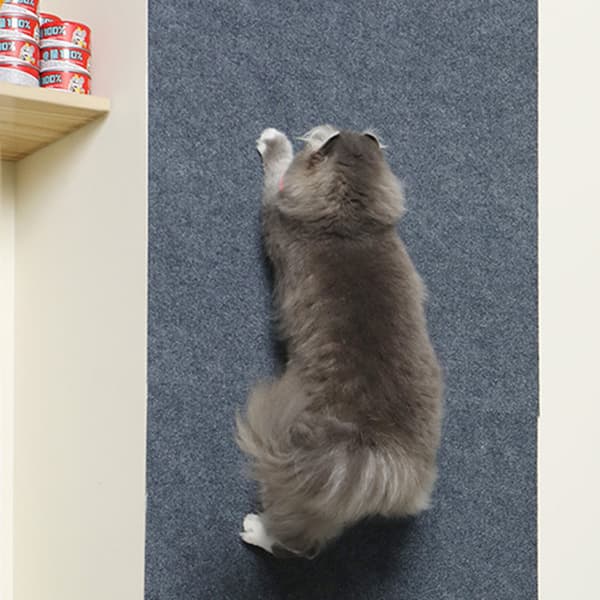 Kradsebræt til katte S