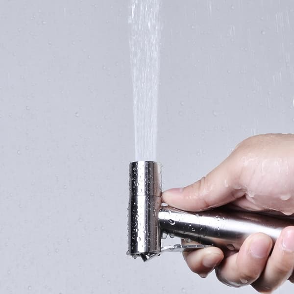Håndholdt Bidet brusehoved Silver