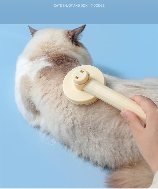 Självrengörande Hårborste för husdjur Beige