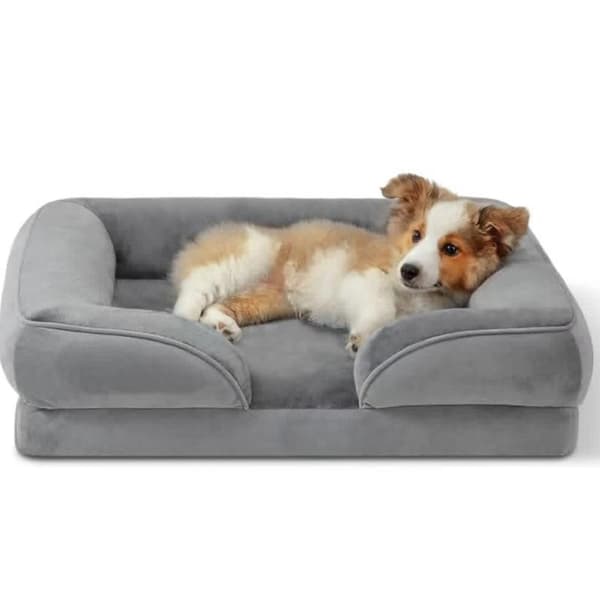 Pet Sovesofa Hundeseng til mellemstore hunde Grey