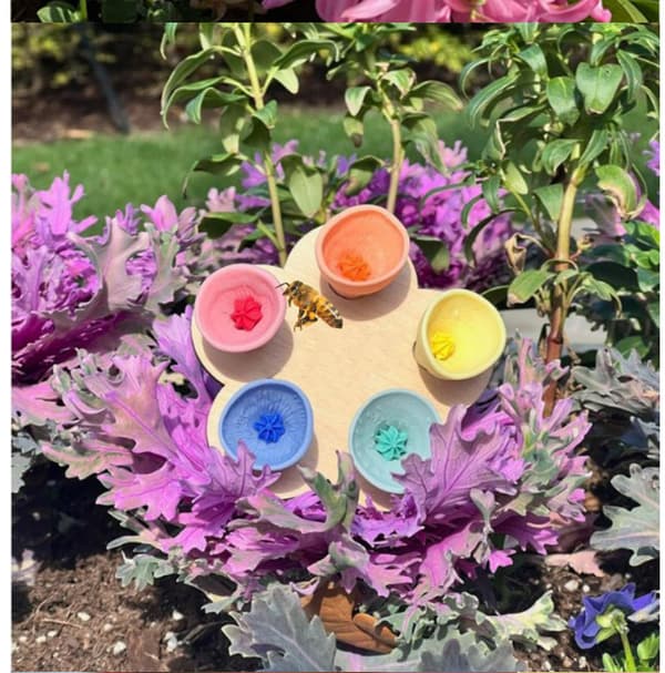 Harpiksblomst Bier Drikkefontæne (Sæt med 2) MultiColor