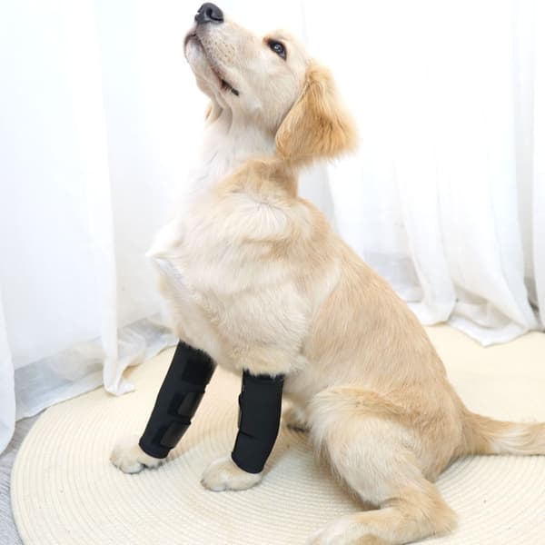 Pet Joint Protector JT2 - Sort til støtte af hunde S