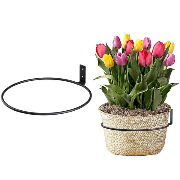 Vægurtepottestander, planteholder S