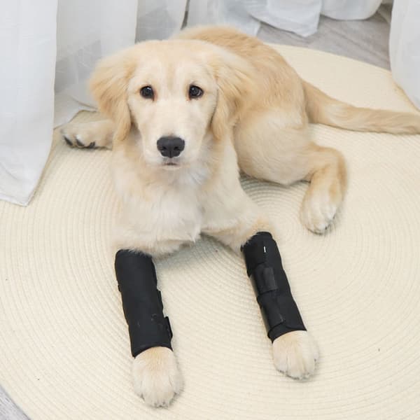 Pet Joint Protector JT2 - Sort til støtte af hunde L