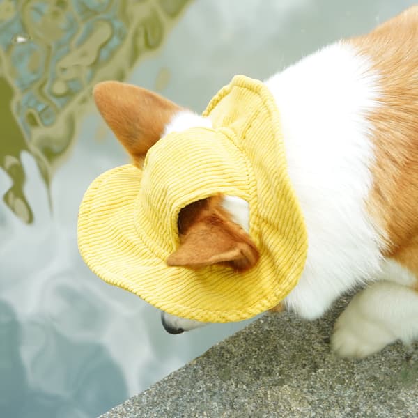 Gul fløjlsagtig kæledyrs bucket hat - til store hunde M