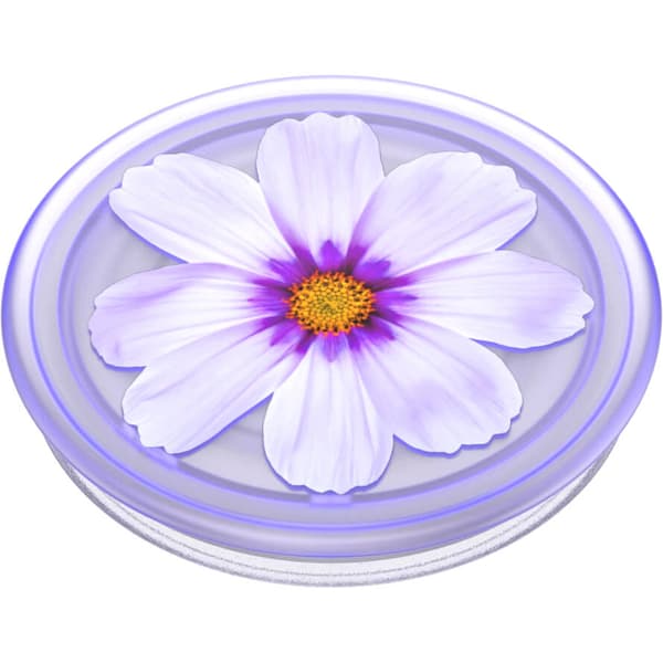 PopGrip Plant Purple Cosmo