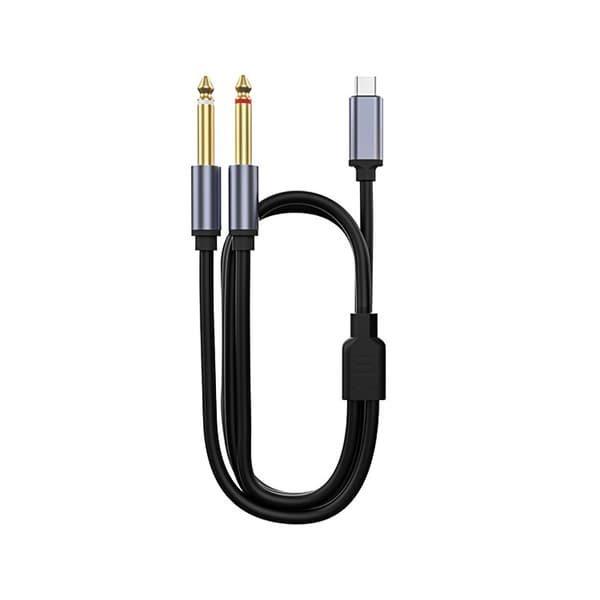 Type-C til Dual 6.35mm Audio Kabel - Forbind din enhed til professionelt lydudstyr 2 m