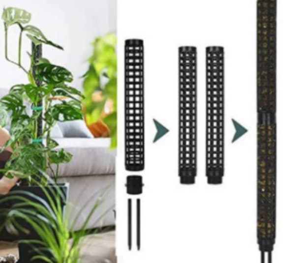 Søjler til klatreplanter Black
