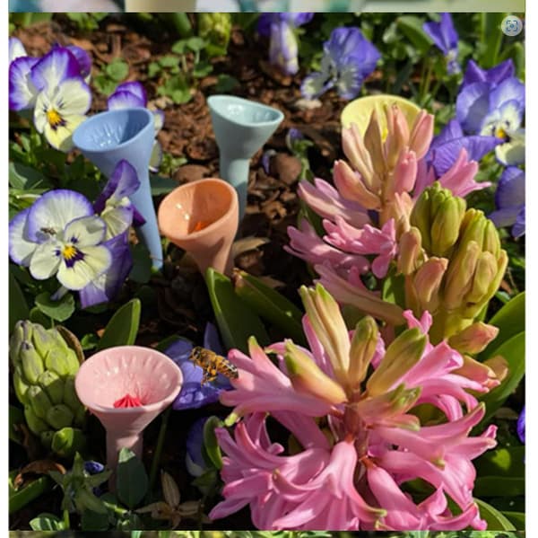 Harpiksblomst Bier Drikkefontæne (Sæt med 2) MultiColor
