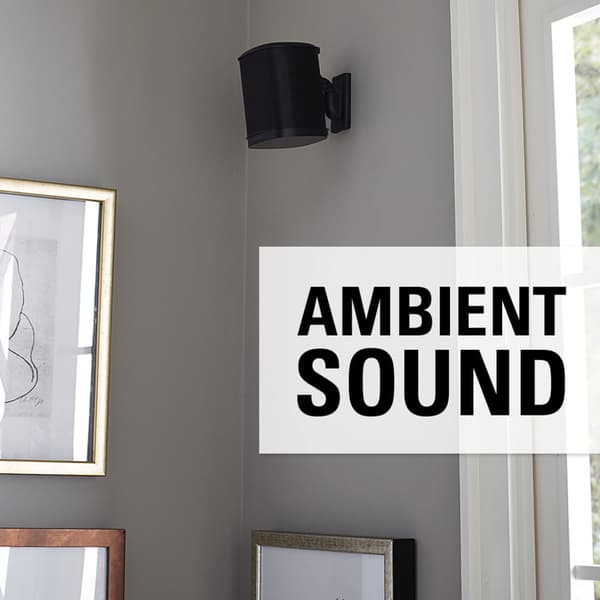 Wall Mount for Sonos One SL Play:1 Play:3 Pair Black