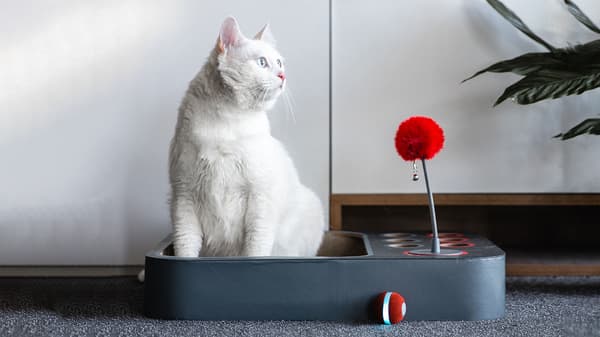 Labyrint- och brädspel för katter