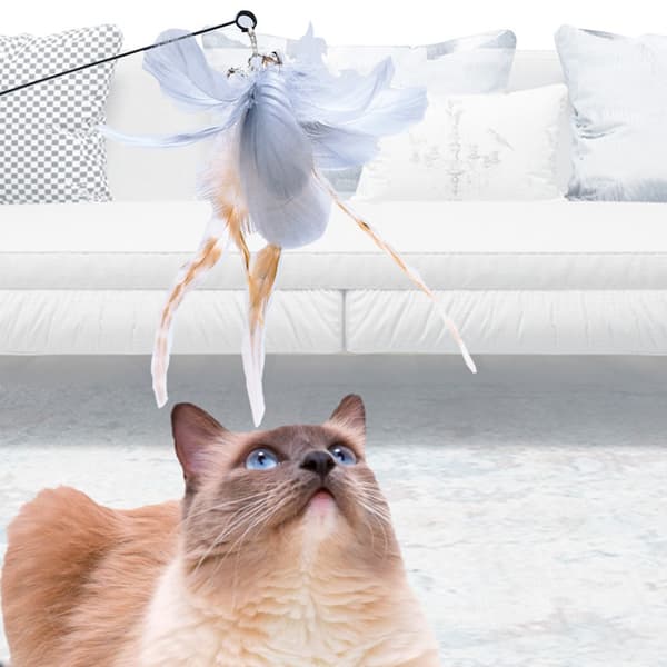 Sugkopp Design Fast Cat Teaser Grey