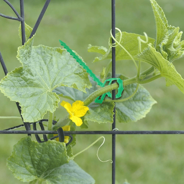 Buntband för Klätterväxter, 50-pack Green