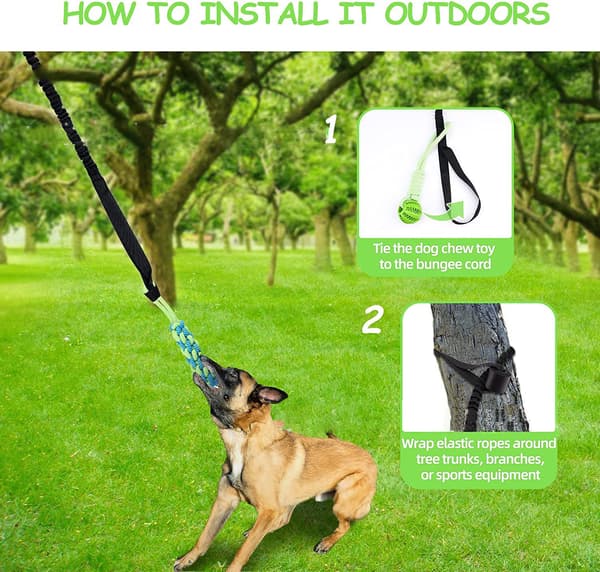 Boll för Dragkamp med Hund
