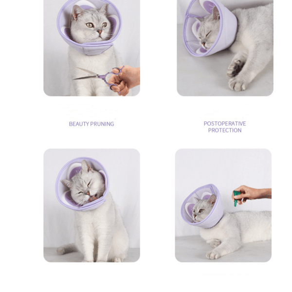 Halsbånd til hunde og katte - justerbar pasform S