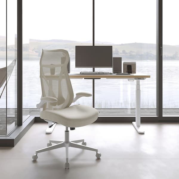 Ergonomisk kontorstol - Justerbar - Kontorstil