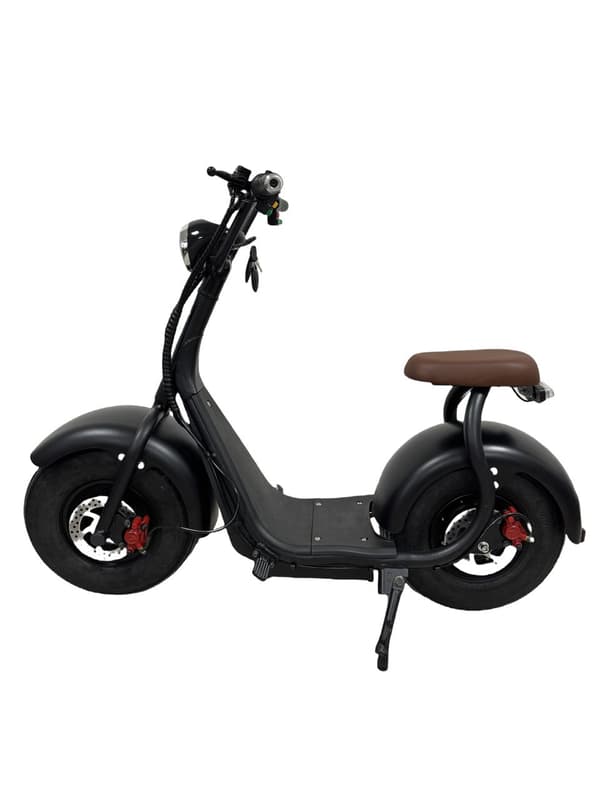 Elkruiser – 1000 W motor & lång räckvidd