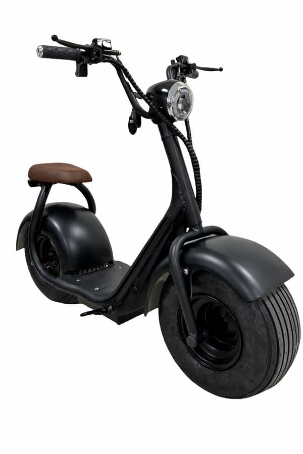 Elkruiser – 1000 W motor & lång räckvidd