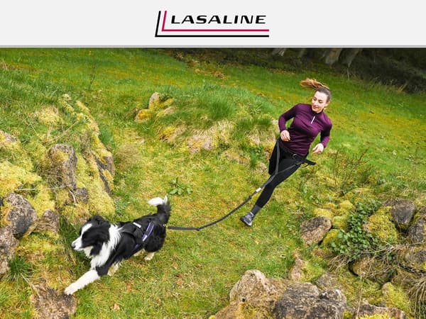 X-Back hundesele | Sort og neonorange | Størrelse S | Til træk