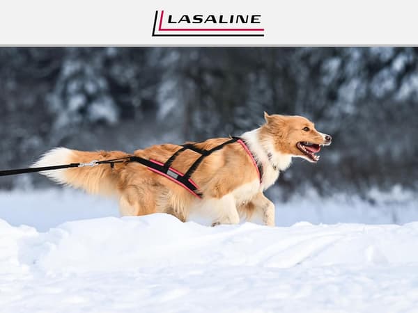 X-Back hundesele | Sort og neonorange | Størrelse S | Til træk