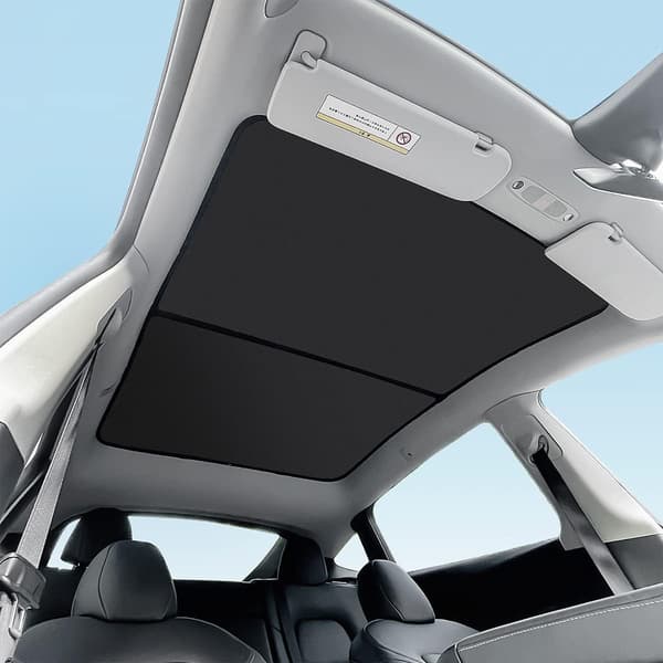 Biltillbehör glastak | 2-pack | solavskärmning Model Y 2021-2023