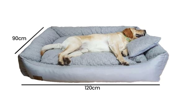 Sovplats hund 120x90 cm | grå | tvättbart material | polyuretan