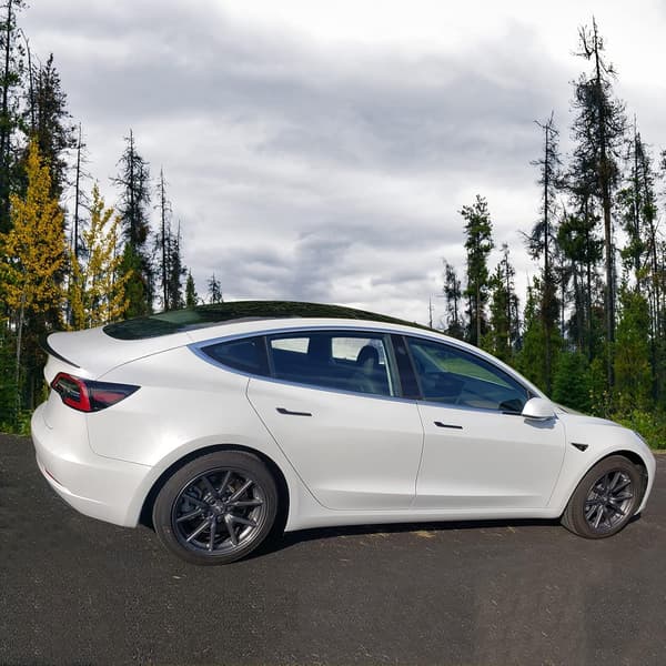 Bilvinge Tesla Model 3 2018-2023 | Sort lakering | Bagklapsmontering