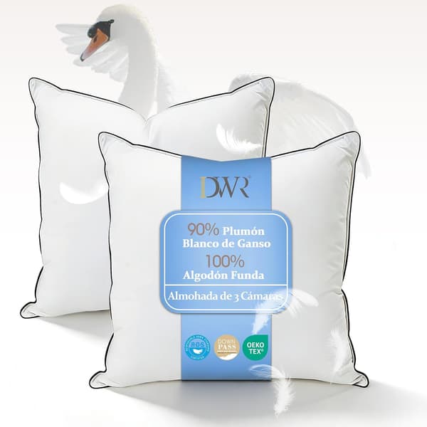 Sovkudde 3-kammare | 50x75 cm | 2-pack | vitt gåsdun | ekologisk bomull | medium fasthet