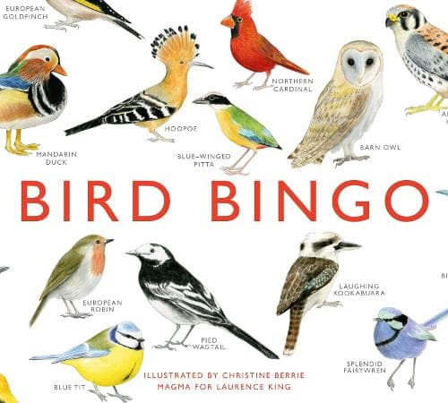 Fågelbingo