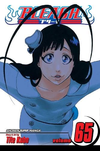 Bleach Vol. 65: Marching Out the Zombies: Volym 65