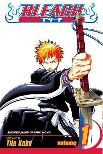 Bleach bind 1: Jordbær og sjælehøsterne: Bind 1
