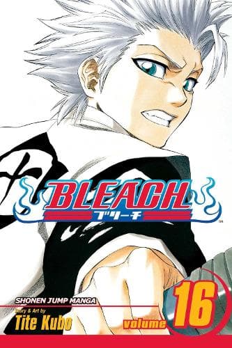 Bleach Bind 16: Ridder af Wijnruit