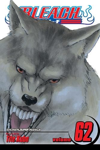 Bleach Bind 62