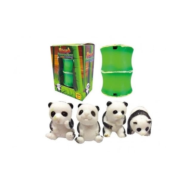 Panda i bambu kläcks i vatten Panda växer i vatten