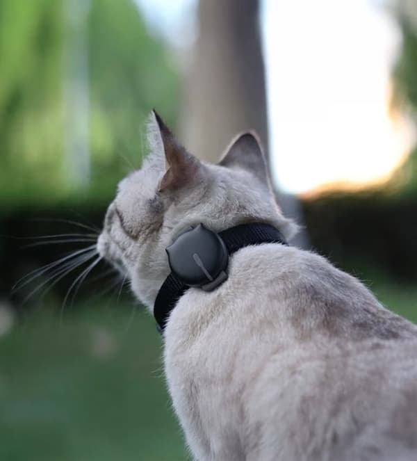 MiniFinder Gato – GPS-tracker for katter
