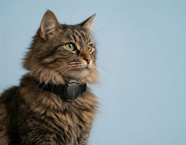 MiniFinder Gato – GPS-tracker for katter