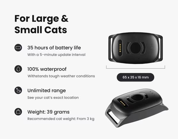 Kat GPS – Atto