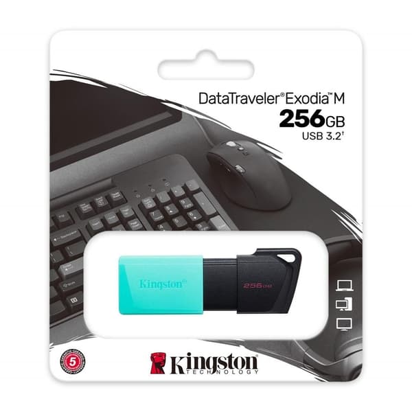 256GB Kingston Exodia USB 3.2 USB-nøgle Pendrive