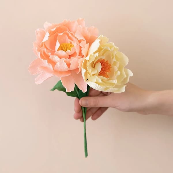 Mini DIY Pysselkit Kräppapper - Pion
