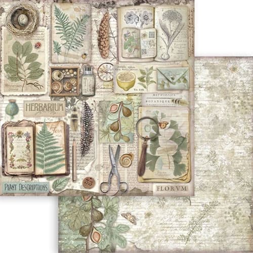 Paper Pad 8x8 Stamperia - Herbarium Silvae